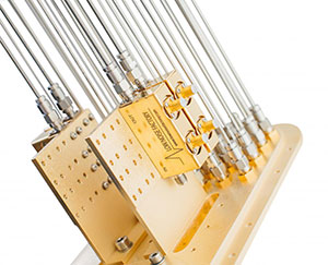 ProteoxMX Custom Secondary Insert